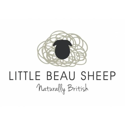 Little Beau Sheep